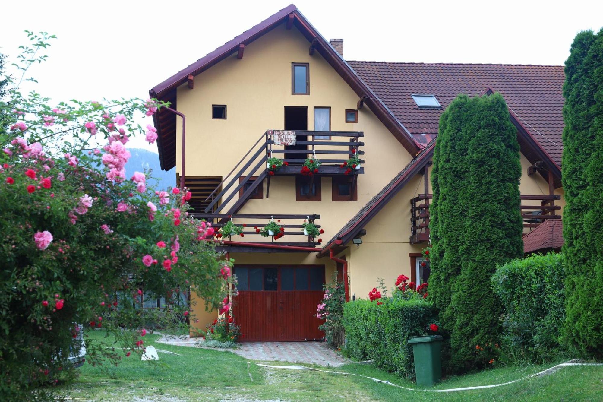 Pensiunea Dealul Frumos Bran  Esterno foto