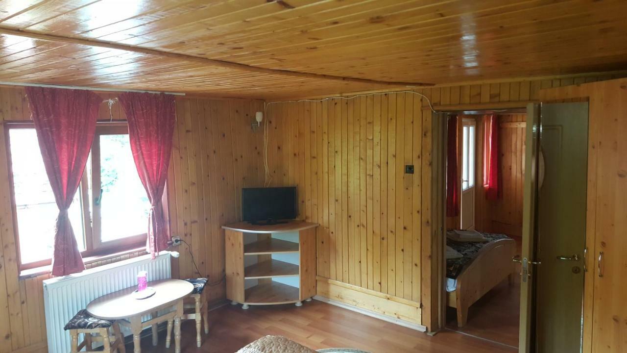 Pensiunea Dealul Frumos Bran  Esterno foto
